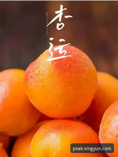 杏运体育安卓版下载实用指南：老用户分享的五个必备技巧
